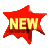 newCLR.gif (4909 octets)